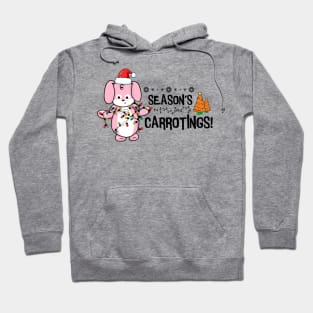 Seasons Carrotings! Hoodie